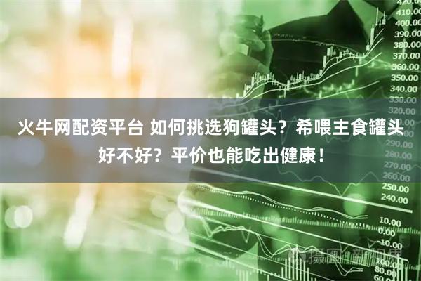 火牛网配资平台 如何挑选狗罐头？希喂主食罐头好不好？平价也能吃出健康！